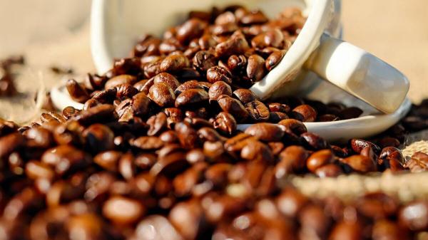 المحاسبة : إدخال 75 طن قهوة غير صالحة للاستهلاك إلى السوق الأردني
