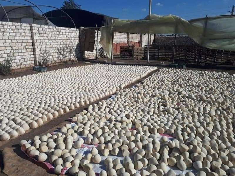 الغذاء والدواء: لا نستورد الجميد من المصنع الذي يستخدم طلاء الجدران في مصر