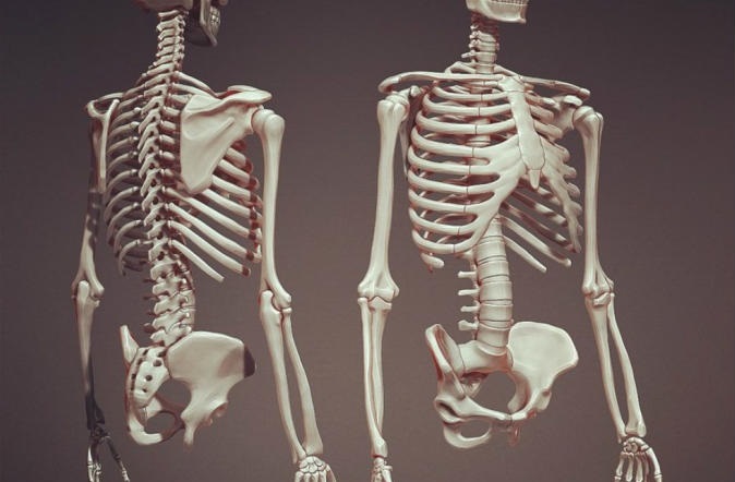 طب شرعي الكرك يوضح حول الهيكلين العظميين