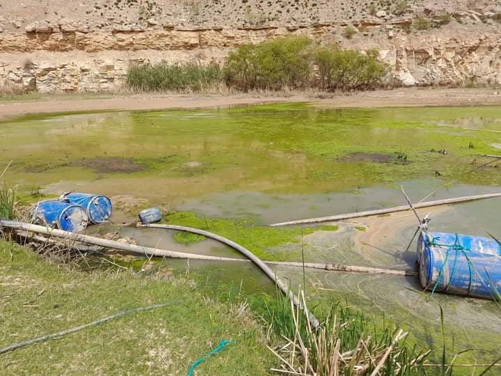 بعد جفاف البرك.. الامتناع عن تسييل مياه من الوالة يهدد حياة المزروعات - صور