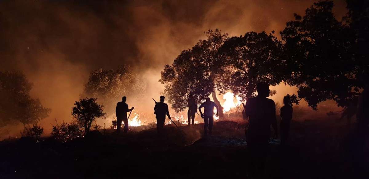 الملكية لحماية الطبيعة: حريق غابات اليرموك قد يكون مفتعلا، ونطالب بالتحقيق - صور