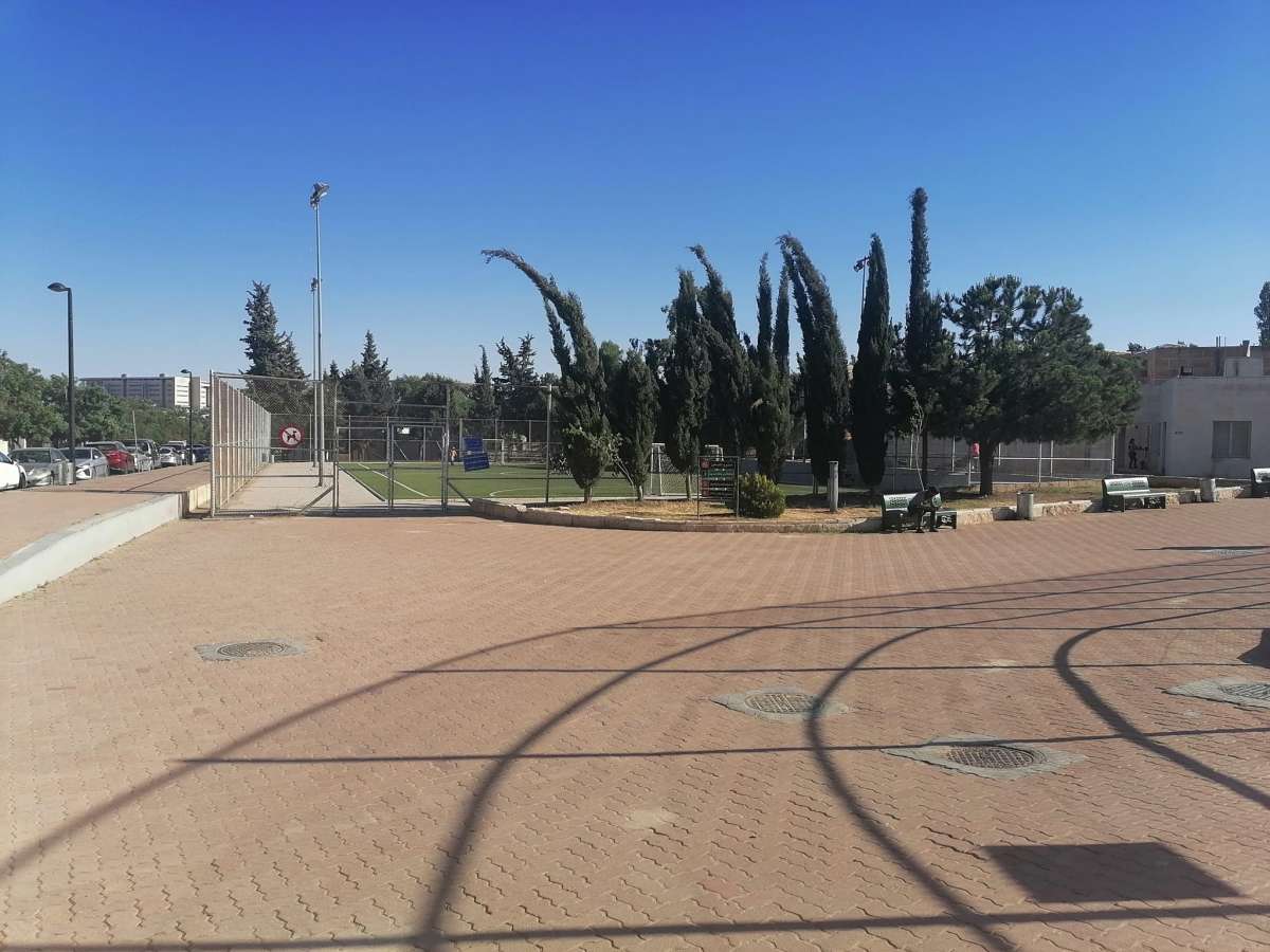 حدائق الحسين.. انخفاض في مستوى النظافة وغياب المساحات الخضراء، والامانة ترد - صور