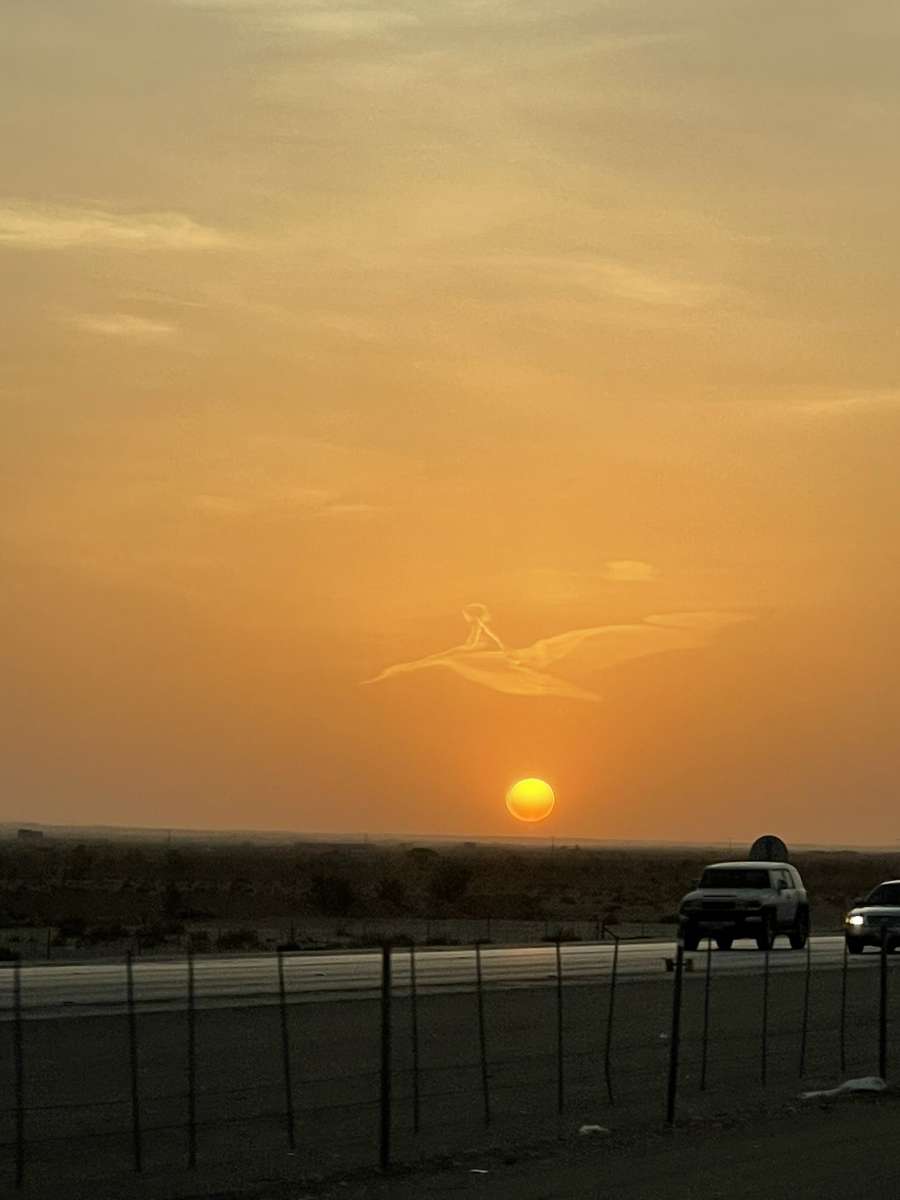 طفل على ظهر طير فوق الرياض يشغل السعوديين.. هذه التفاصيل!