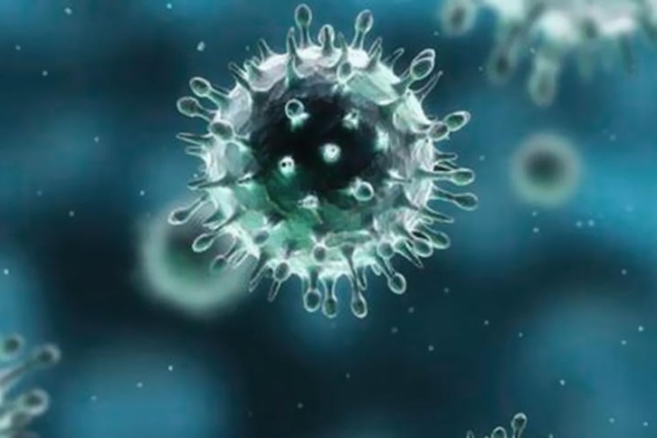 عالم فيروسات: وباء فيروس كورونا يقترب من الانتهاء
