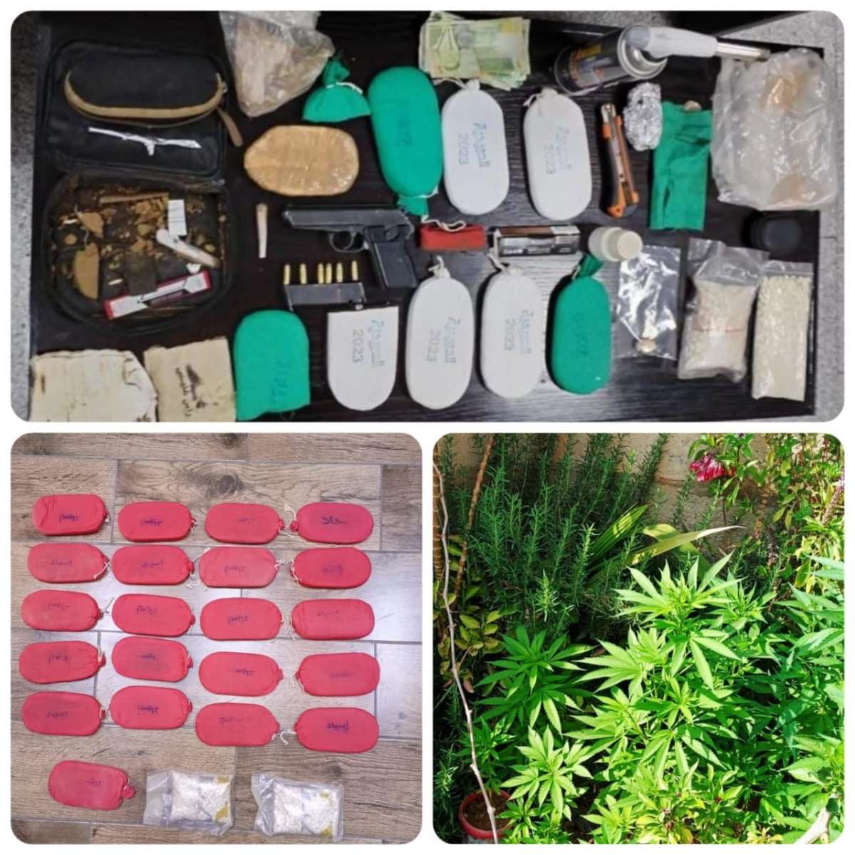 القبض على 15 مروج وتاجر مخدرات خلال (48) ساعة - صور