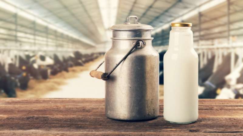 صوالحة ل الاردن ٢٤ :الحليب متوفر ، ونرفض ابتزاز بعض المصانع