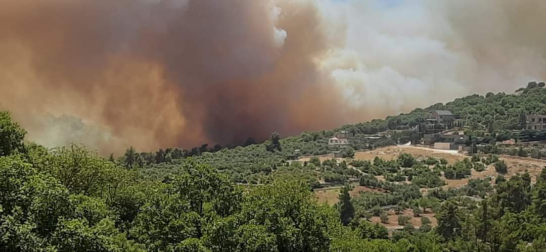الدفاع المدني وثلاث طائرات تتعامل مع حريق غابة في عجلون.. والحنيفات يكشف سبب تجدد الحريق