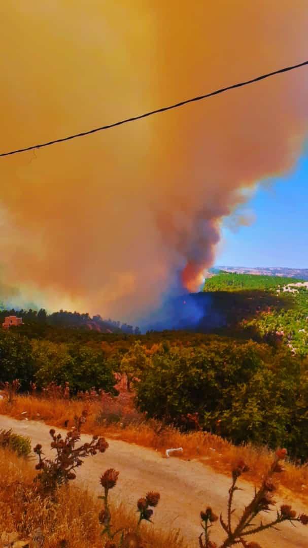 الدفاع المدني وثلاث طائرات تتعامل مع حريق غابة في عجلون.. والحنيفات يكشف سبب تجدد الحريق