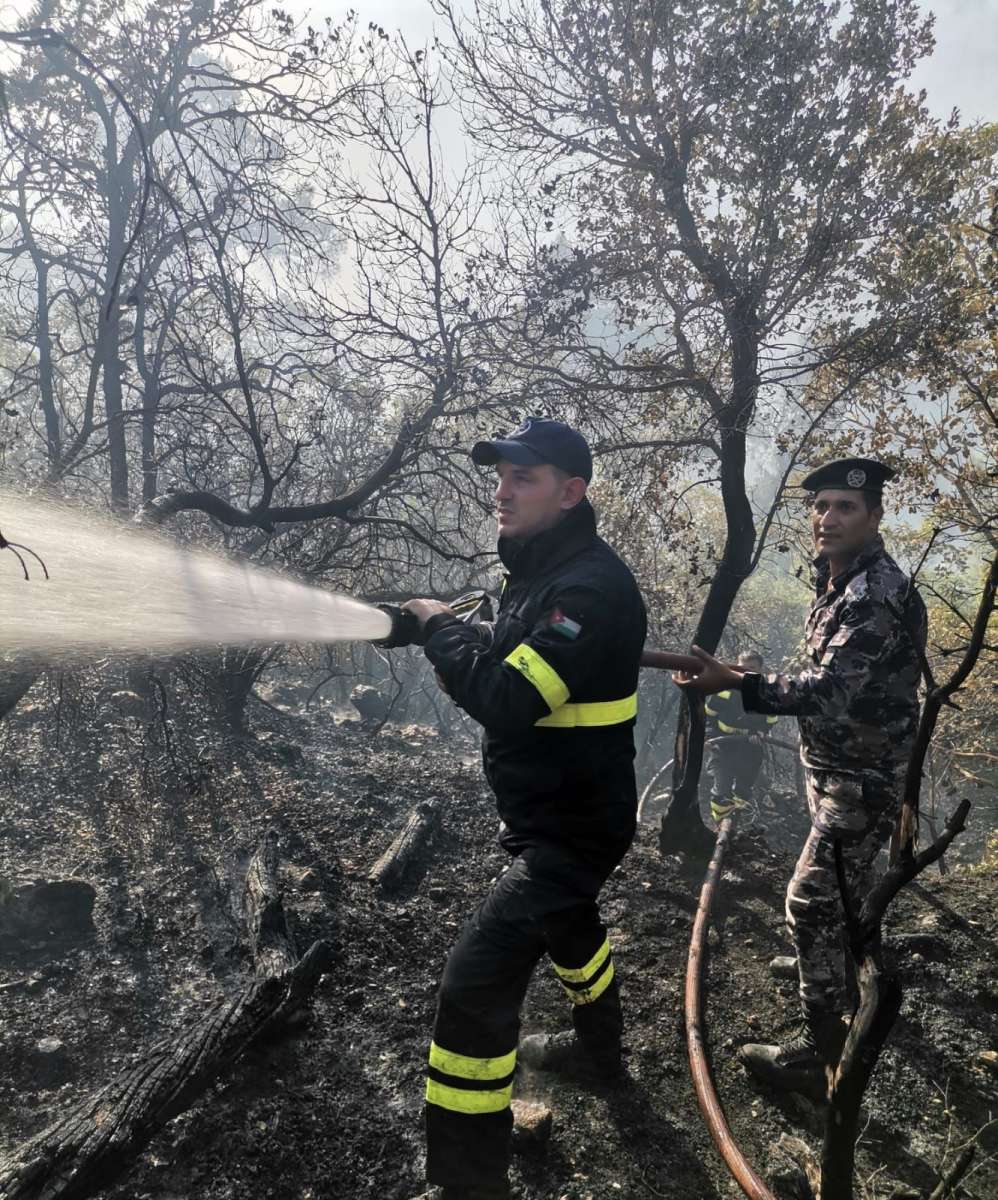 الامن يعلن اخماد حريق غابة الصفصافة في عجلون - صور