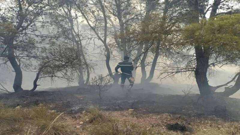 إصابتان بين كوادر الدفاع المدني خلال التعامل مع حريق جديد في وادي الشام