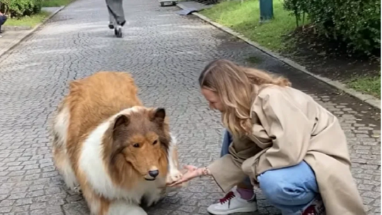 ياباني ينفق آلاف الدولارات ليتحول إلى.. كلب! (فيديو)