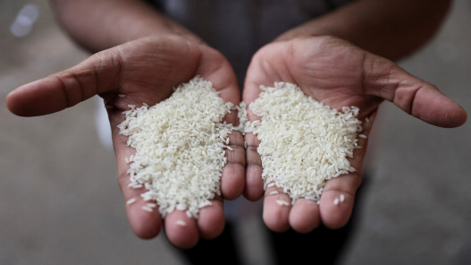 فاو: مؤشر أسعار الأرز العالمي قرب أعلى مستوى خلال 12 عاما في تموز