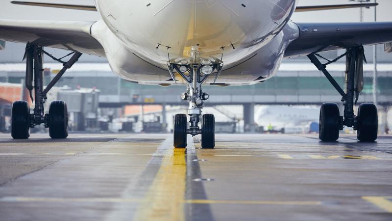 هيئة تنظيم الطيران المدني: تدابير احترازية لمراقبة الرحلات القادمة من فرنسا بسبب حشرة (بق الفراش)