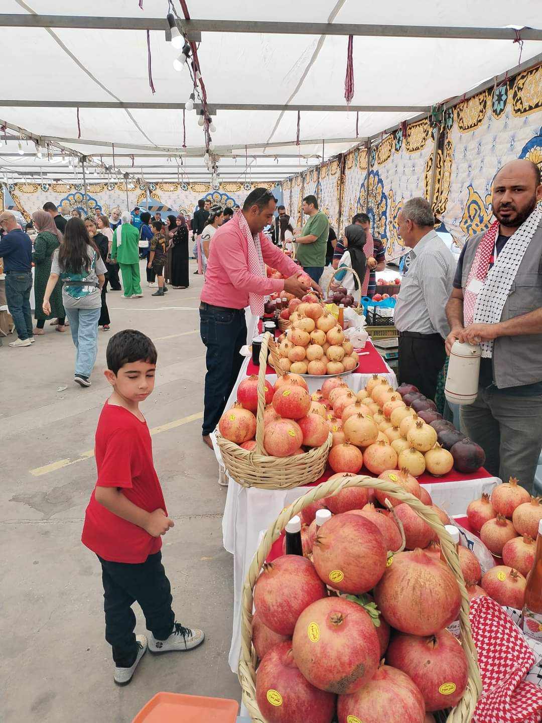  إنطلاق مهرجان الرمان السنوي في اربد بساحة سامح مول 