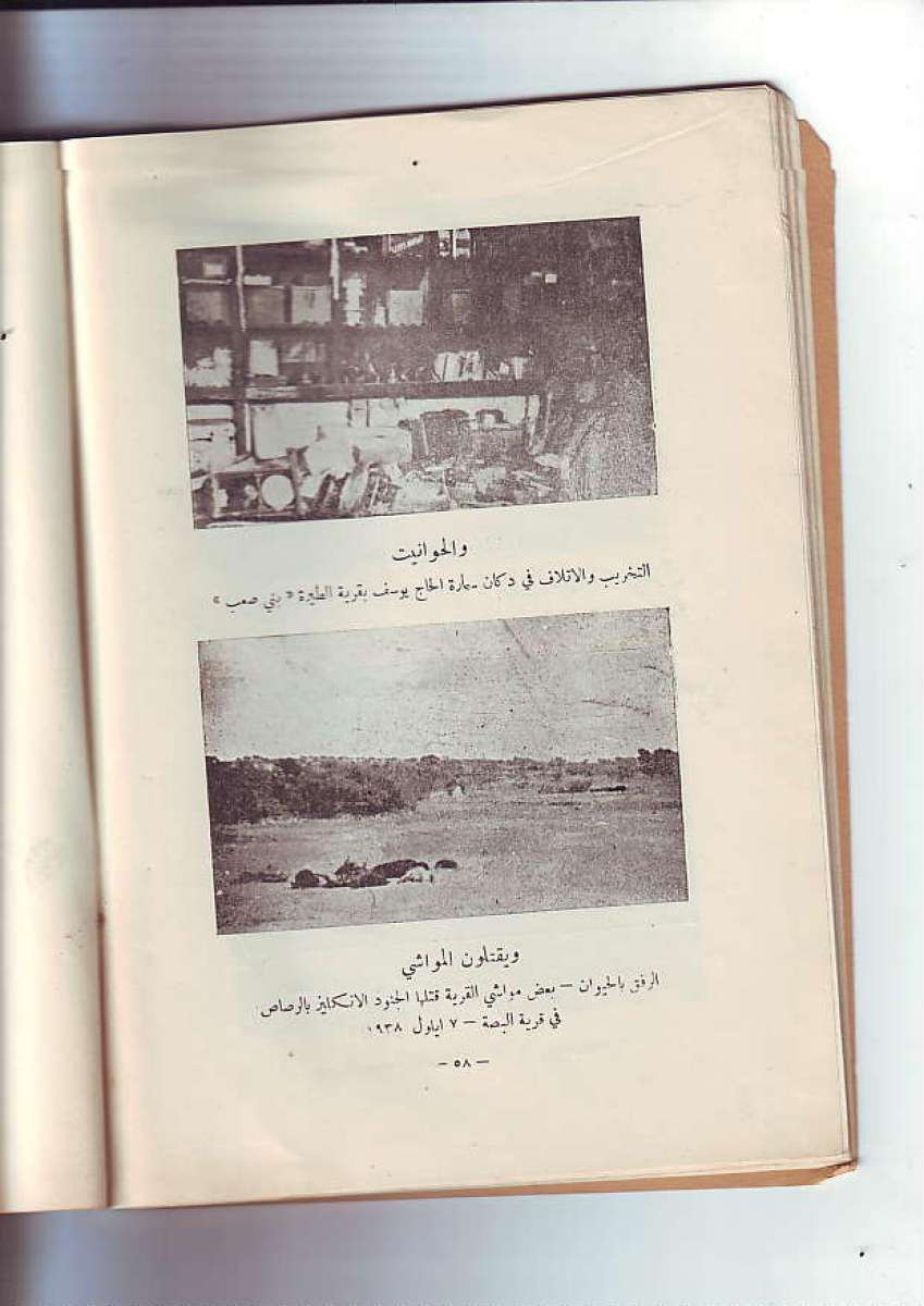 كتاب فلسطين الشهيدة الممنوع من النشر