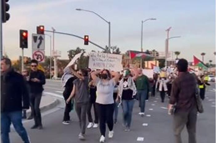 ناشطون يعطلون المرور لمطار لوس أنجلوس الدولي دعما لغزة
