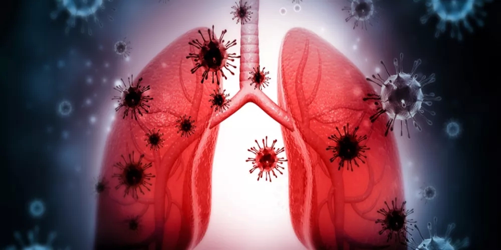 الطراونة يوجه تحذيرات ونصائح للمواطنين حول انتشار الامراض التنفسية