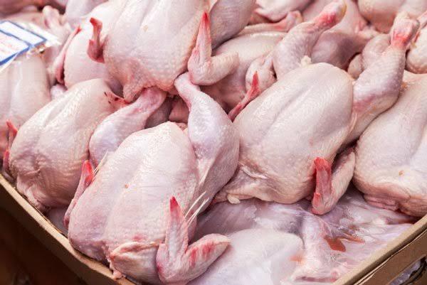 ضبط دجاج غير صالح للاستهلاك البشري في الكرك