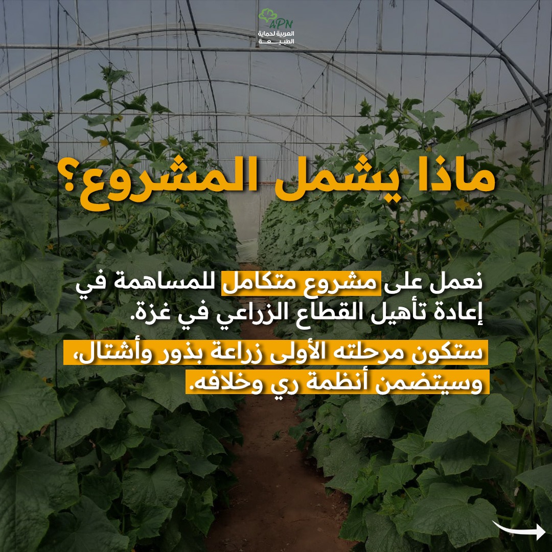 التجويع سلاحهم والزراعة سلاحنا: حملة العربية لحماية الطبيعة لإحياء مزارع غزة
