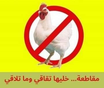 عاجل: خليها تقاقي وما تلاقي.. حملة شعبية لمقاطعة الدجاج في الاردن