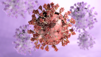 اكتشاف آلية هروب فيروس SARSCoV2 من جهاز المناعة