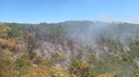 حريق كبير في منطقة الصفصافة الحرجية في عجلون