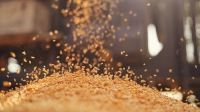 وزارة الصناعة والتجارة: تخفيض سعر طن دقيق القمح الموحد والقمح