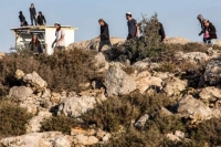 مستوطنون يهاجمون المواطنين في قرية بيرين شرق الخليل