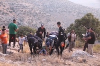 الدفاع المدني ينقذ (5) أشخاص علقوا بمقطع صخري وعر بوادي عقربا في اربد