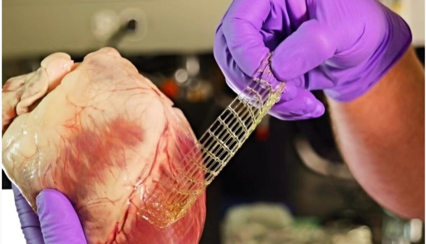 طباعة ثلاثية الأبعاد جديدة لإصلاح الأنسجة التالفة في القلب