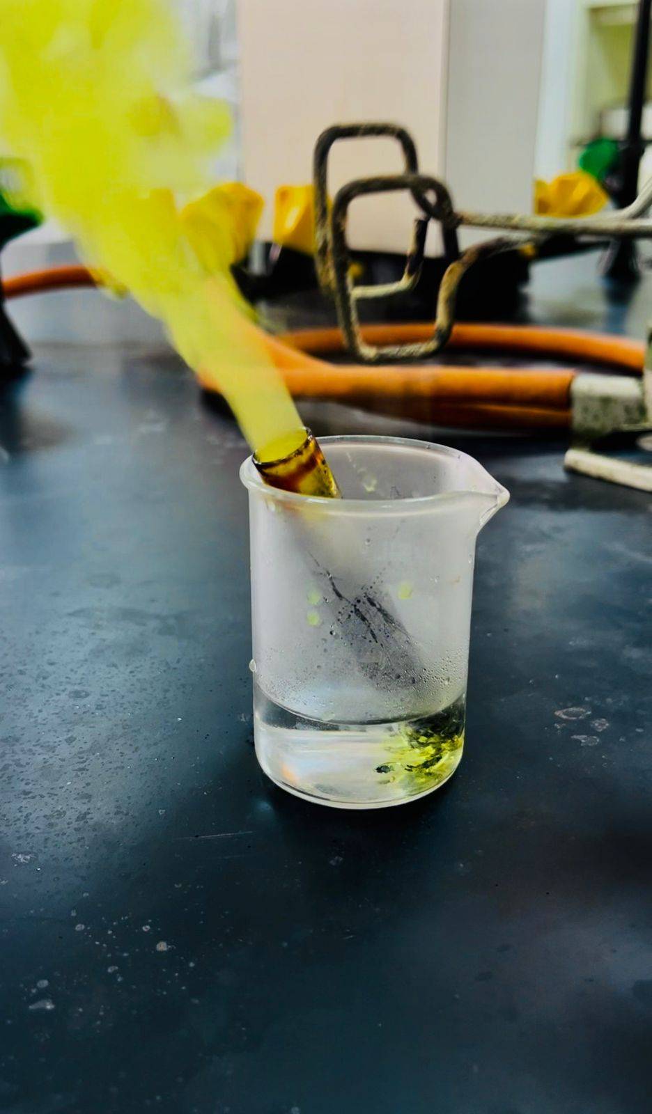 على مشارف التخرّج: لقاء الخبرة بالحُلم... أساتذة الكيمياء في الجامعة الهاشمية يرسمون طريق الإبداع لطلبتهم