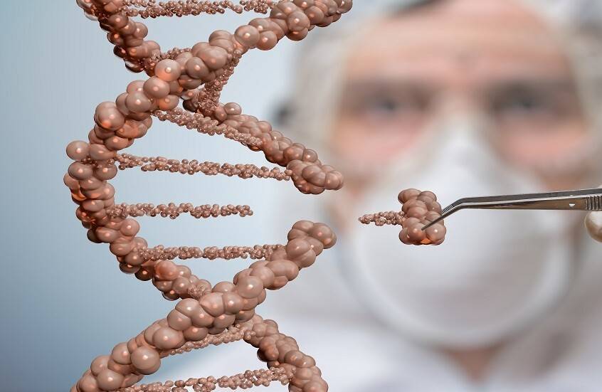 علماء: طفرة واحدة ونظام غذائي محدد غيّرا مسار تطور البشر