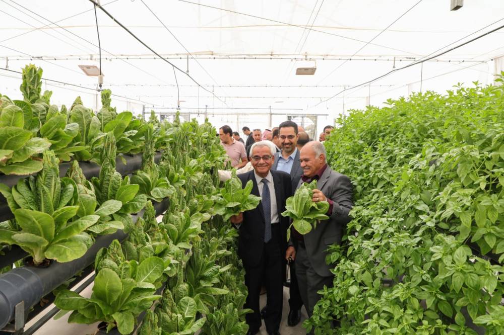 الجامعة الهاشمية تنجز مشروع الزراعة المائية الذكية دعماً للبحث العلمي التطبيقي وخدمةً للأمن الغذائي الوطني