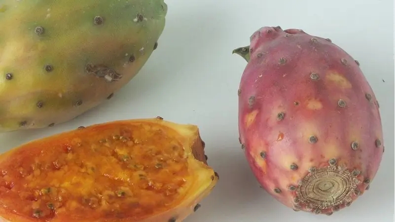 خلاف انتهى بطعنة.. سعر التين الشوكي يقتل شاباً في مصر