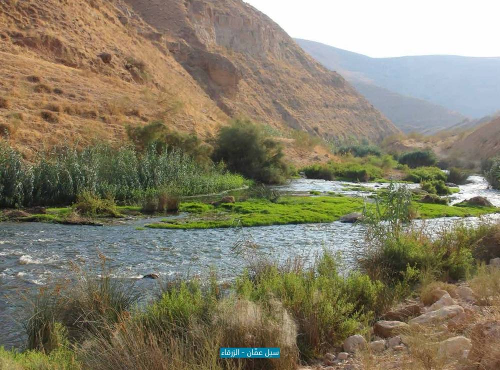 رئاسة الوزراء تنشر التقرير الدوري لسير العمل في المواقع التي تفقدها رئيس الوزراء ضمن جولاته الميدانية التفقدية