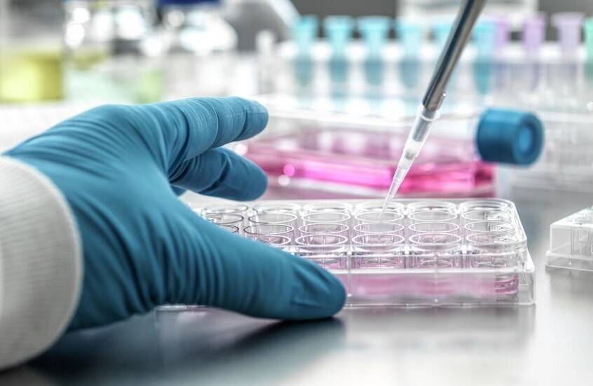 العلماء الروس يحرزون تقدما في ابتكار أدوية مضادة للسرطان