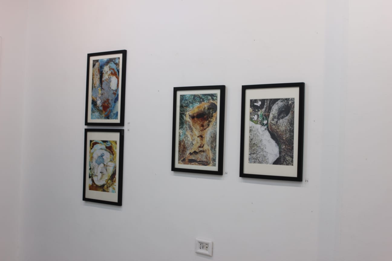 افتتاح معرض كائنات للغزوي