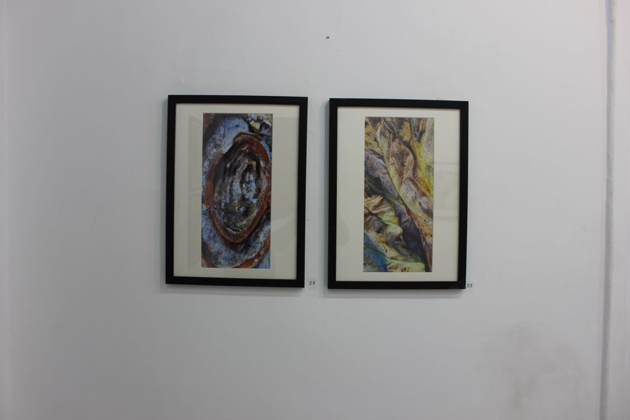 افتتاح معرض كائنات للغزوي