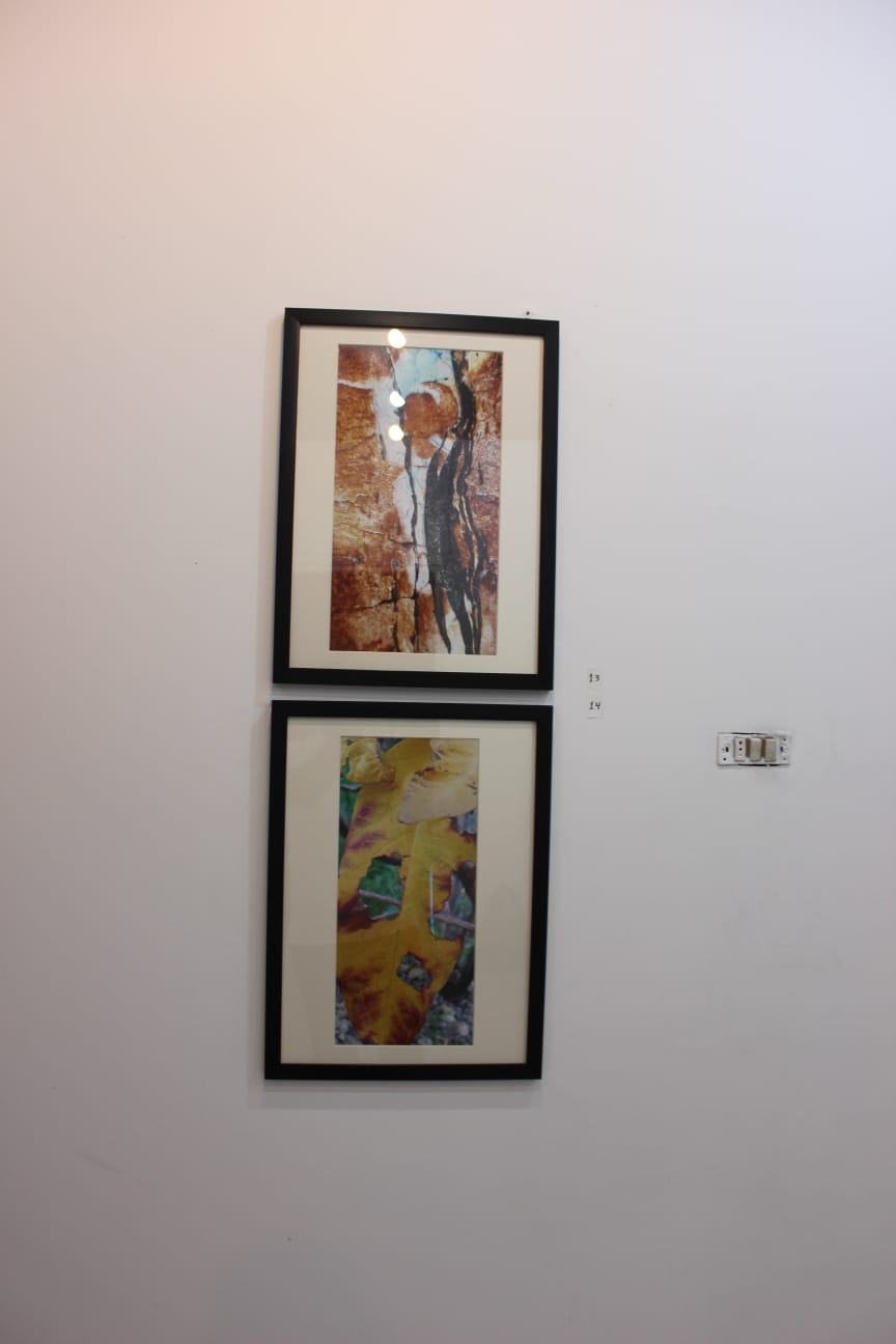 افتتاح معرض كائنات للغزوي