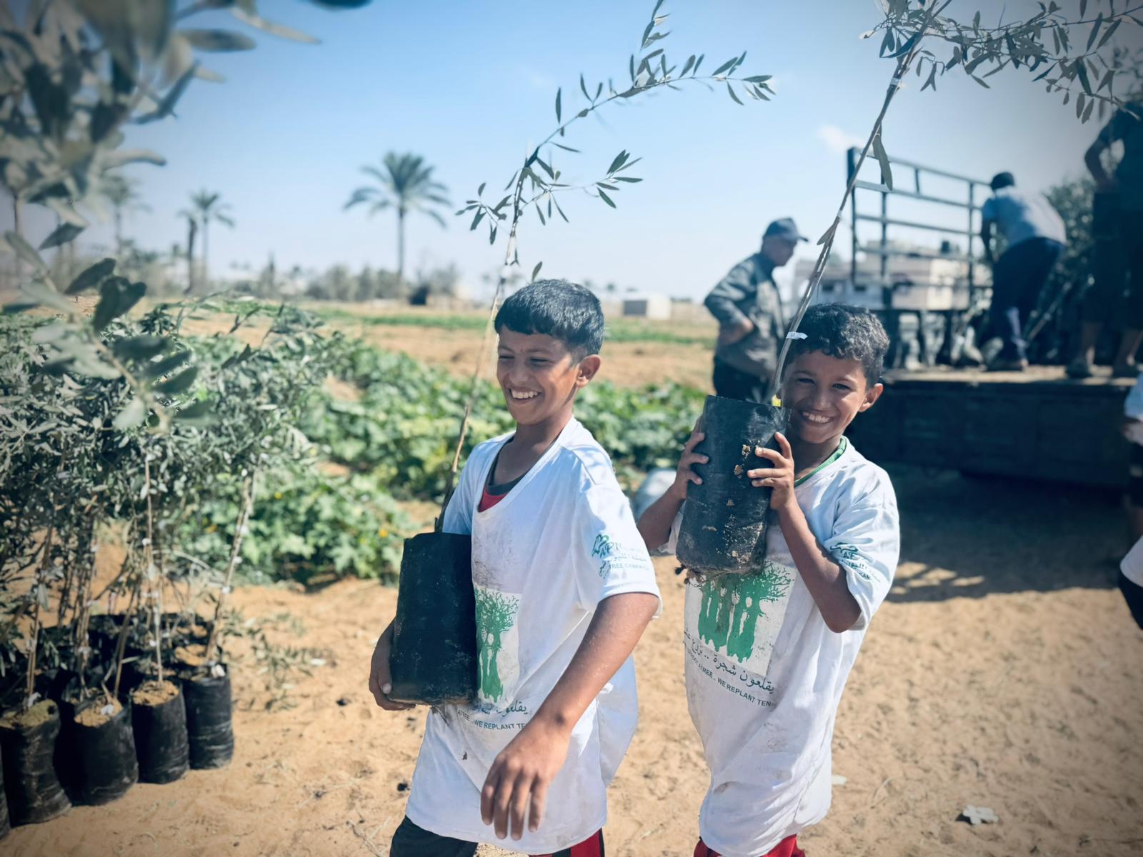 العربية لحماية الطبيعة تبدأ المرحلة الثانية من مشروع إحياء مزارع غزة بزراعة 30 ألف شجرة زيتون