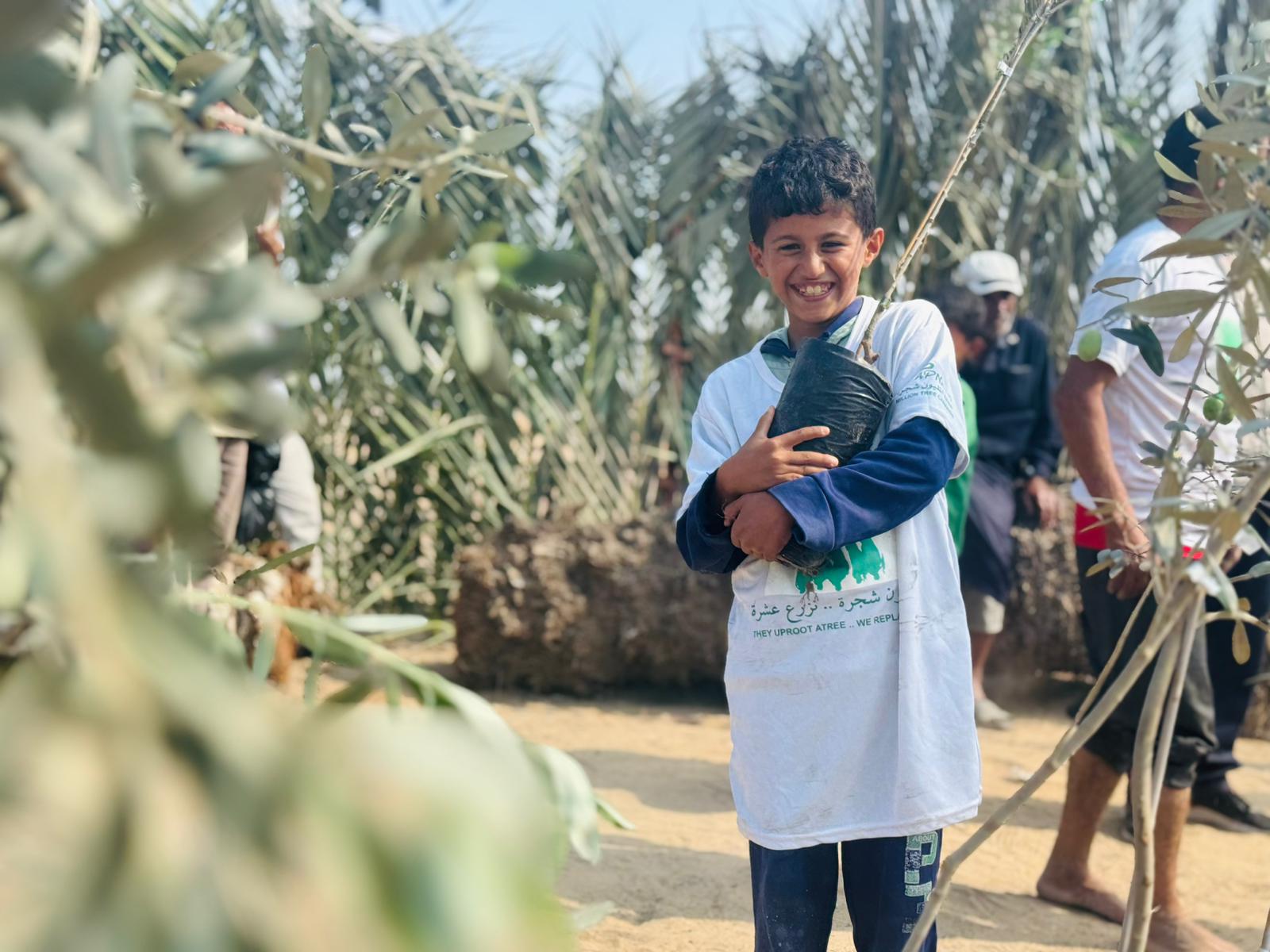 العربية لحماية الطبيعة تبدأ المرحلة الثانية من مشروع إحياء مزارع غزة بزراعة 30 ألف شجرة زيتون
