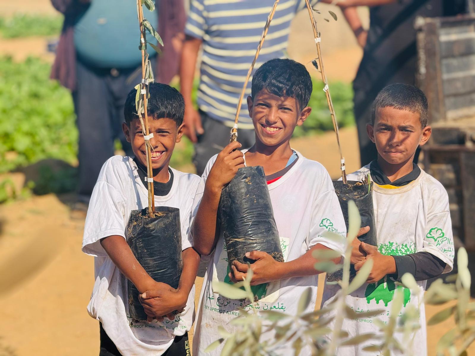 العربية لحماية الطبيعة تبدأ المرحلة الثانية من مشروع إحياء مزارع غزة بزراعة 30 ألف شجرة زيتون