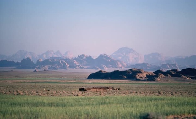 حين تجفّ الأرض.. أردنيون ضحايا المناخ وغياب الحقوق العمالية  
