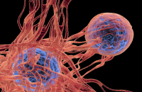 فيروس شائع يتسلل إلى الحمض النووي ويحفز السرطان مباشرة