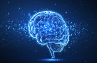 أطعمة ومشروبات تهدد صحة الدماغ وتزيد خطر الخرف