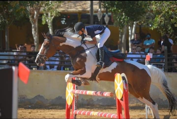 بطولة بطل العام 2025 لقفز الحواجز تختتم غدا على ميدان نادي الجواد العربي