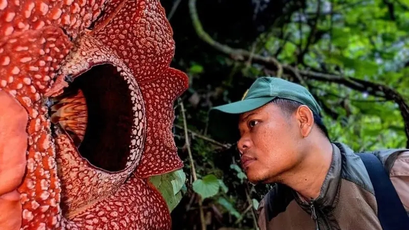 شاهد لحظة العثور على زهرة الأشباح.. بعد 13 عاماً من البحث