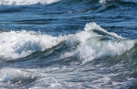 اعتدى عليه ودفنه.. الشرطة التركية تنقذ طفلاً سورياً نكل به خاله وتركه للموت