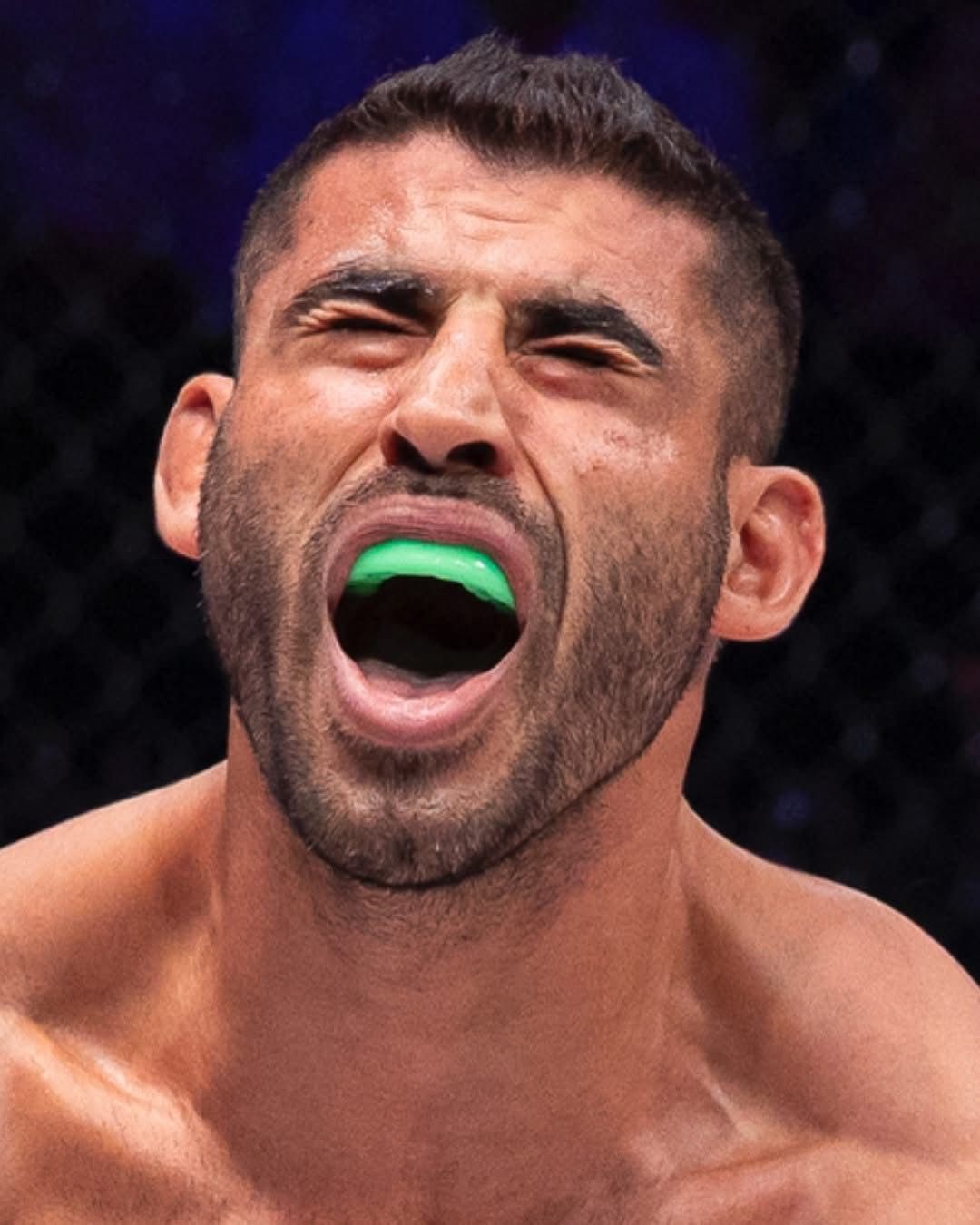 نورس أبزاخ.. خريج من الشرق الأوسط ينتزع لقب بطولة PFL MENA