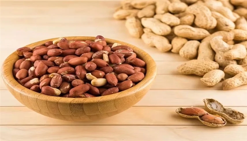 دراسة: تناول حصتين من الفول السوداني يومياً يعزز صحة الدماغ 